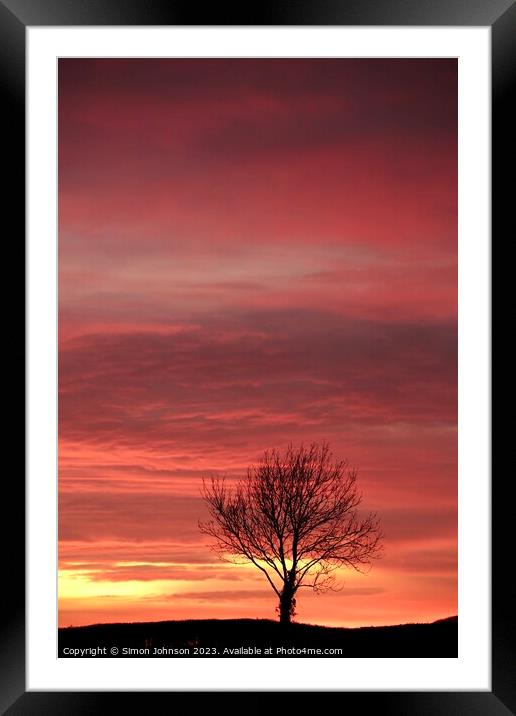 Sunset  Framed Mounted Print by Simon Johnson