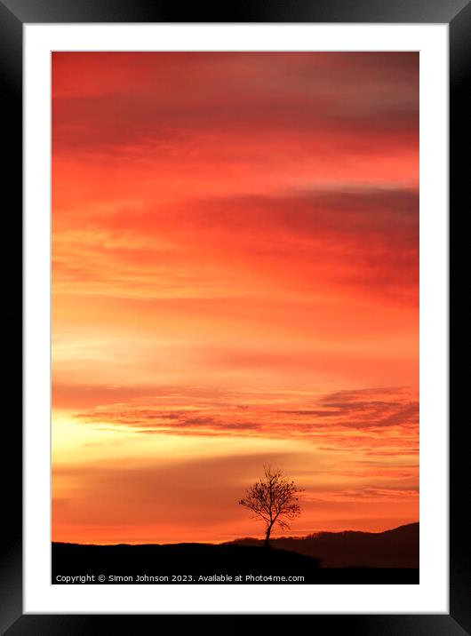 Tree silhouette  Framed Mounted Print by Simon Johnson