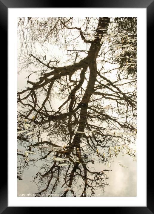 tree reflections in pond Framed Mounted Print by Simon Johnson