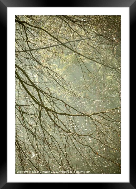 woodland dew drops Framed Mounted Print by Simon Johnson
