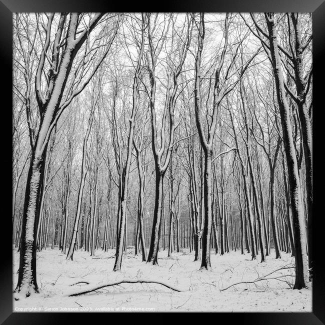 Woodland Snow Framed Print by Simon Johnson