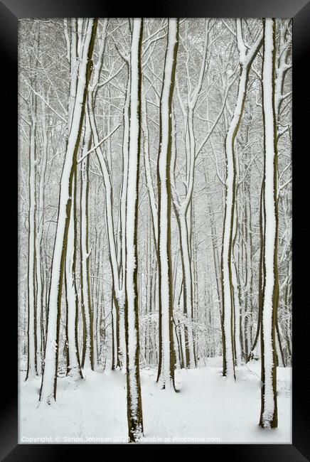 winter tree trunks  Framed Print by Simon Johnson