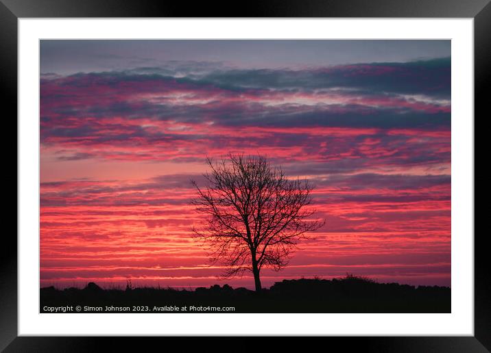 Tree Silhouette sunrise Framed Mounted Print by Simon Johnson