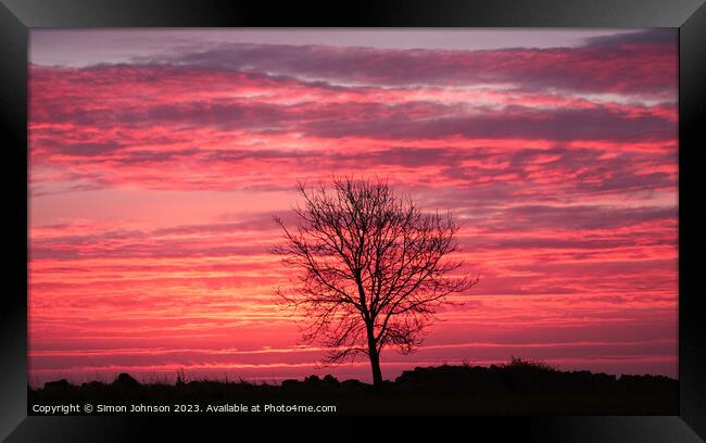 Tree silhouette sunrise Framed Print by Simon Johnson