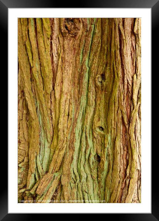 Tree bark Patterns Framed Mounted Print by Simon Johnson