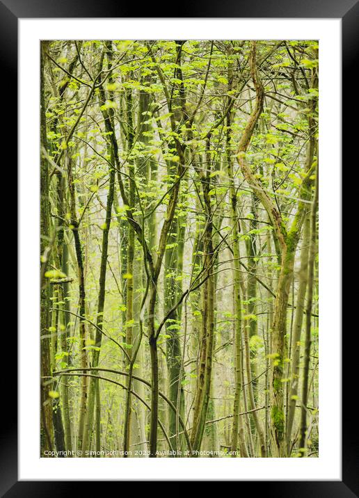 woodland patterns Framed Mounted Print by Simon Johnson