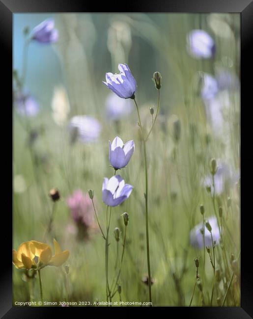 meadow Flowers  Framed Print by Simon Johnson
