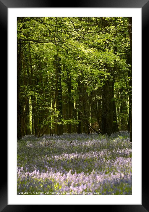 Bluebell Woodland  Framed Mounted Print by Simon Johnson