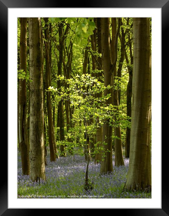 Bluebell Woodland  Framed Mounted Print by Simon Johnson