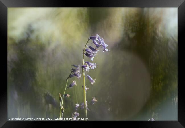 A blurry image of a flower Framed Print by Simon Johnson