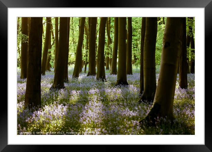 Plant tree Framed Mounted Print by Simon Johnson