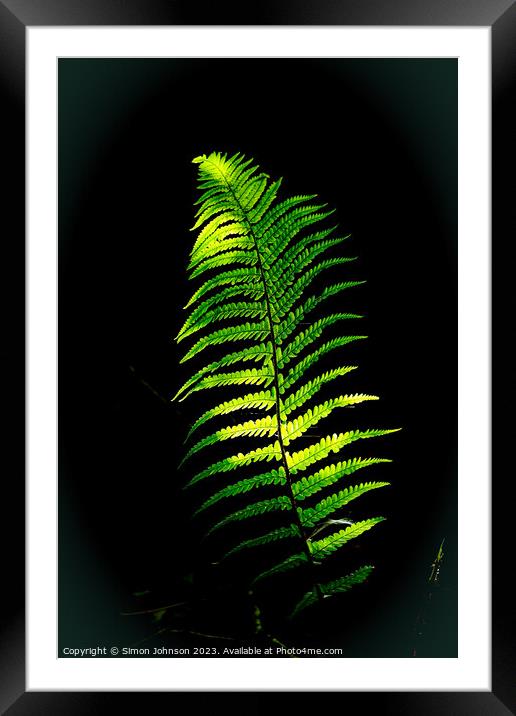Plant leaves Framed Mounted Print by Simon Johnson