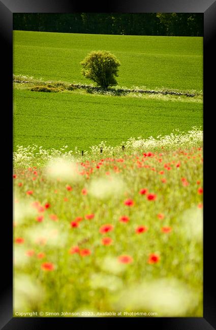  Tree and poppies  Framed Print by Simon Johnson