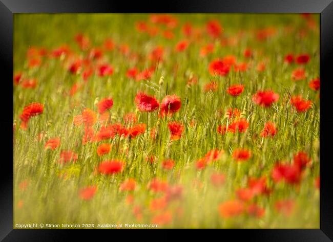 Poppy field Framed Print by Simon Johnson