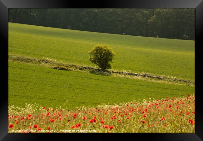  tree and Poppy field Framed Print by Simon Johnson