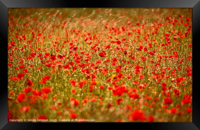 Poppy Impressionism Framed Print by Simon Johnson