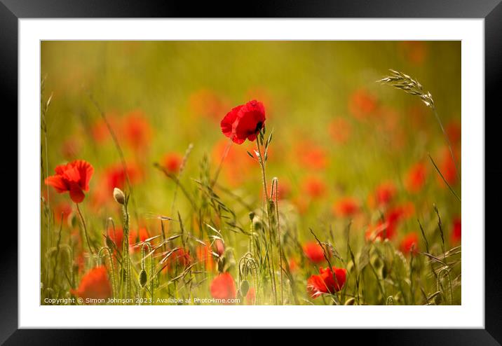 Cotswold poppy Framed Mounted Print by Simon Johnson