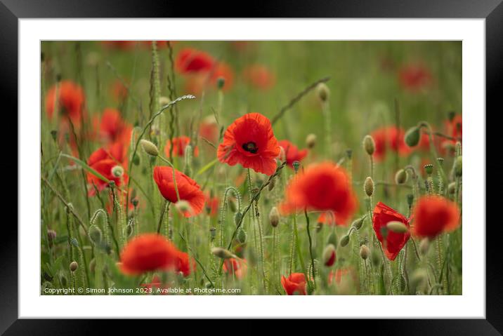 Outdoor field Framed Mounted Print by Simon Johnson