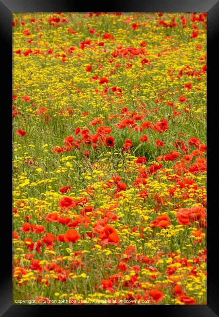 poppy and wild flower field Framed Print by Simon Johnson