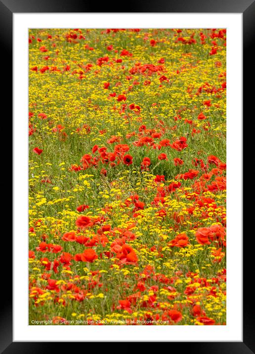 poppy and wild flower field Framed Mounted Print by Simon Johnson