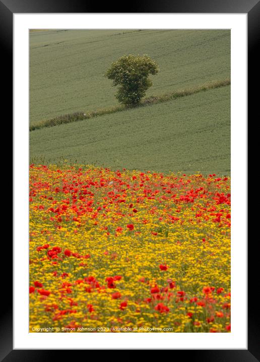 Golden sunrise over wildflower meadow Framed Mounted Print by Simon Johnson