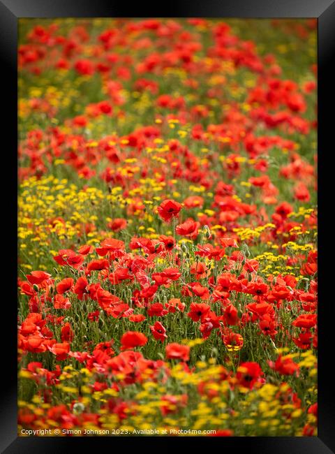 wild flower meadow with poppies Framed Print by Simon Johnson
