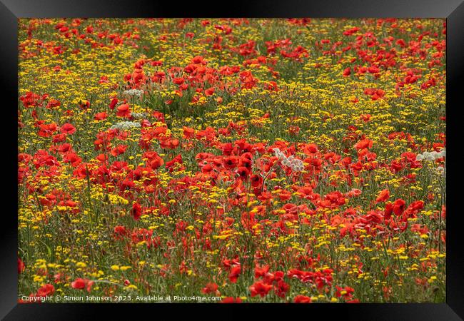  wild flowers and poppies  Framed Print by Simon Johnson