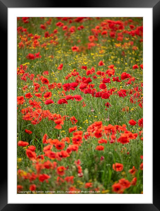 Poppy field Framed Mounted Print by Simon Johnson