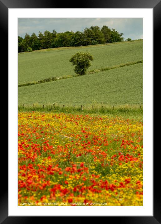 Wild flower meadow Framed Mounted Print by Simon Johnson