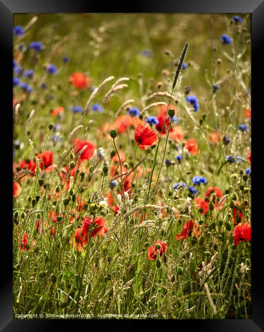 "Blooming Symphony" Framed Print by Simon Johnson