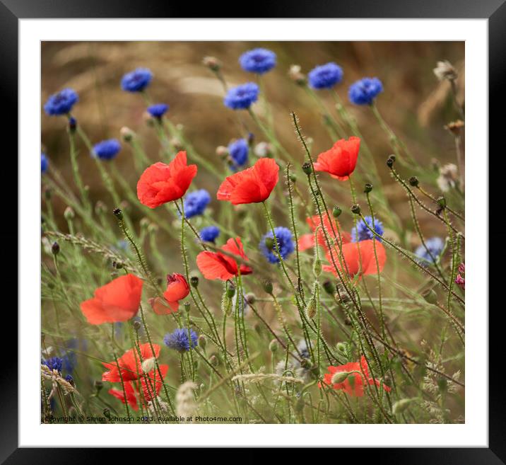 "Vibrant Symphony: A Burst of Colour" Framed Mounted Print by Simon Johnson