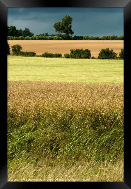 tree and fields Framed Print by Simon Johnson