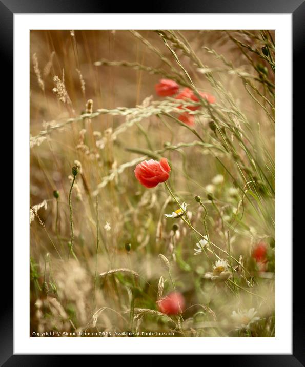 wind blown poppy Framed Mounted Print by Simon Johnson