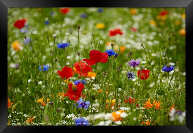 wild flower field Framed Print by Simon Johnson