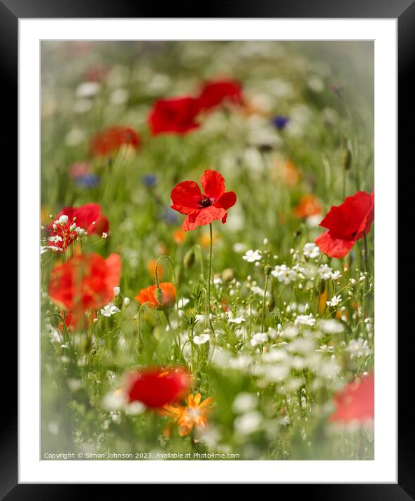 Poppy flowers Framed Mounted Print by Simon Johnson