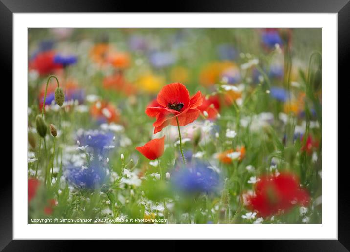 Poppy and wild flowers Framed Mounted Print by Simon Johnson