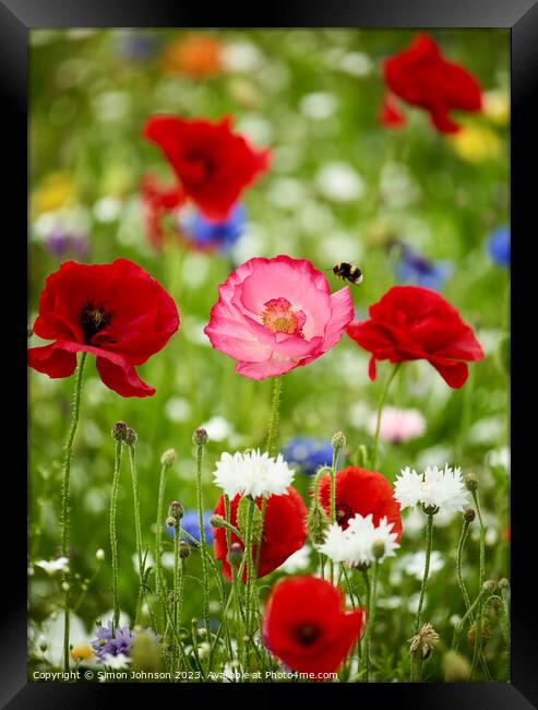 wild flowers and Poppies Framed Print by Simon Johnson