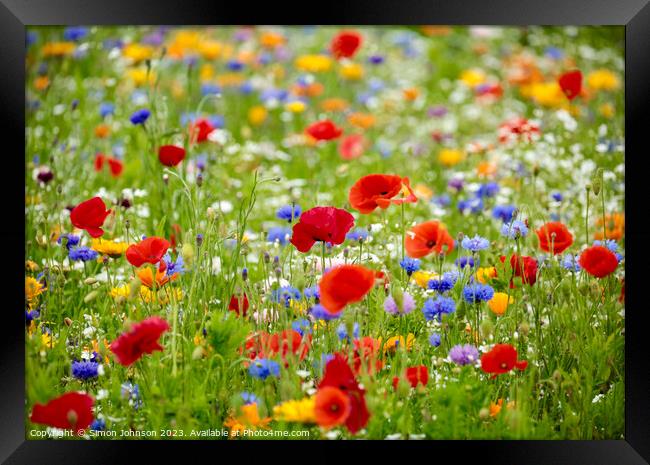 wild flower  field Framed Print by Simon Johnson