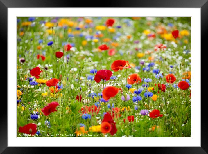 wild flower  field Framed Mounted Print by Simon Johnson