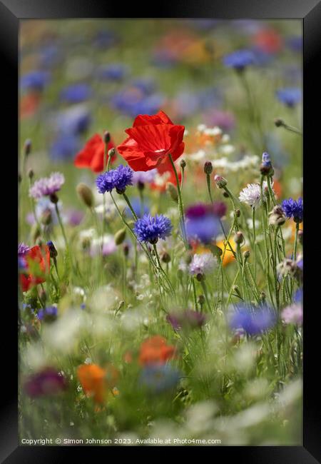 wild flowers Framed Print by Simon Johnson