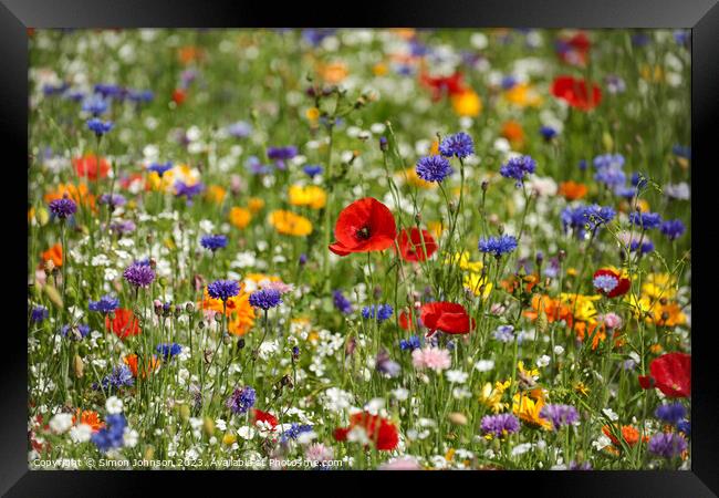 Poppy  and wild flower field Framed Print by Simon Johnson