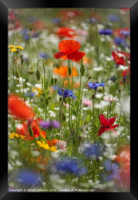poppies and wild flowers Framed Print by Simon Johnson