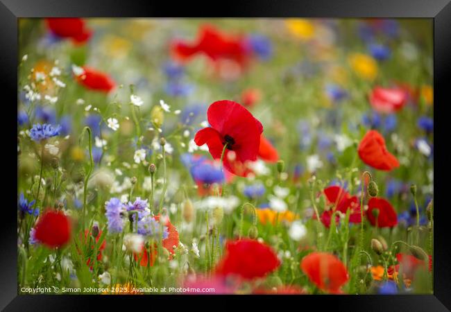 wild flower meadow with Poppy Framed Print by Simon Johnson