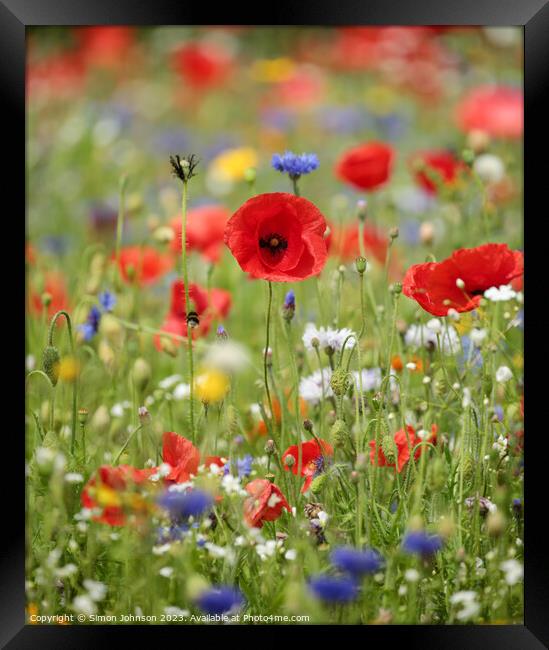 Poppy and wild flowers Framed Print by Simon Johnson