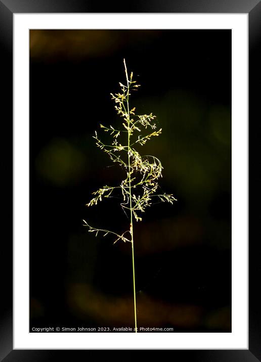 sunlit grass Framed Mounted Print by Simon Johnson