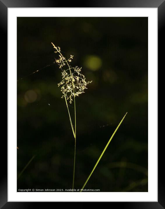 sunlit grass Framed Mounted Print by Simon Johnson