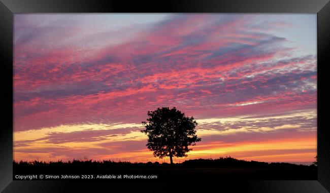 tree silhouette sunrise Framed Print by Simon Johnson