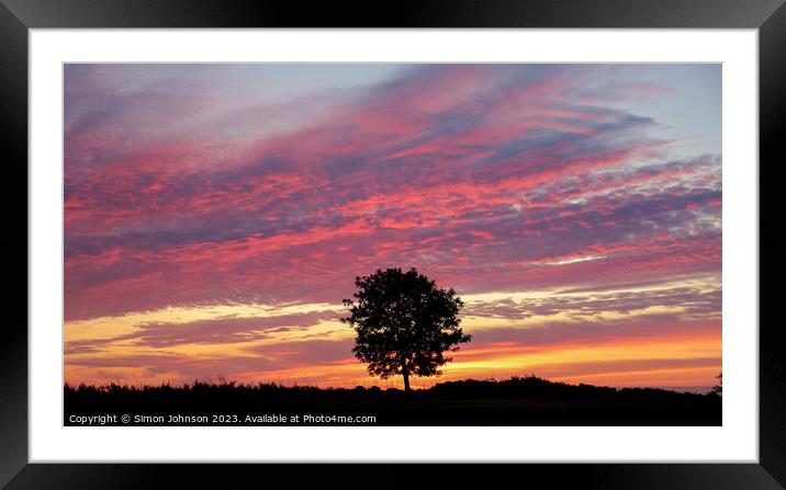 tree silhouette sunrise Framed Mounted Print by Simon Johnson