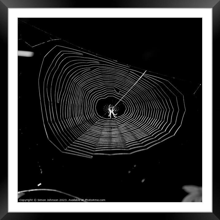 sunlit cobweb with spider Framed Mounted Print by Simon Johnson