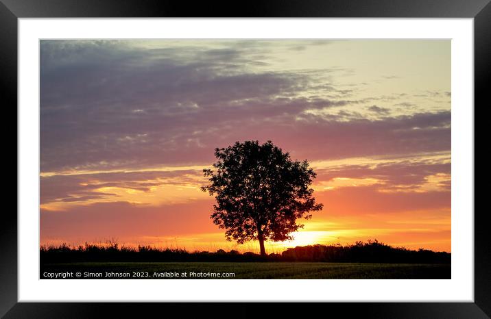 Tree silhouette Sunrise Framed Mounted Print by Simon Johnson